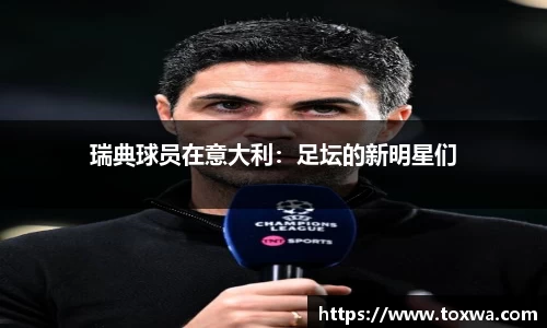 瑞典球员在意大利：足坛的新明星们